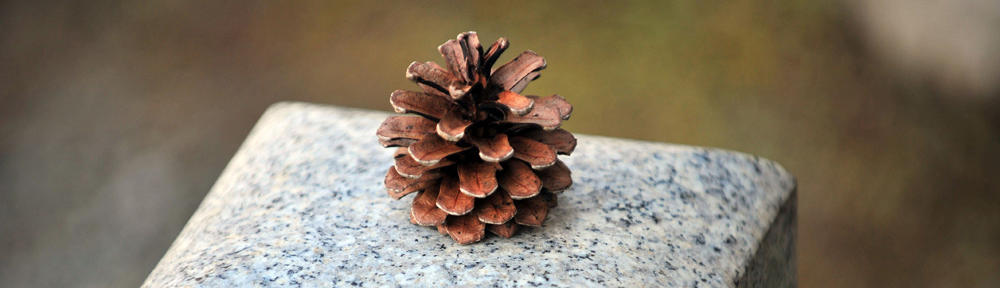dracarlagimenes